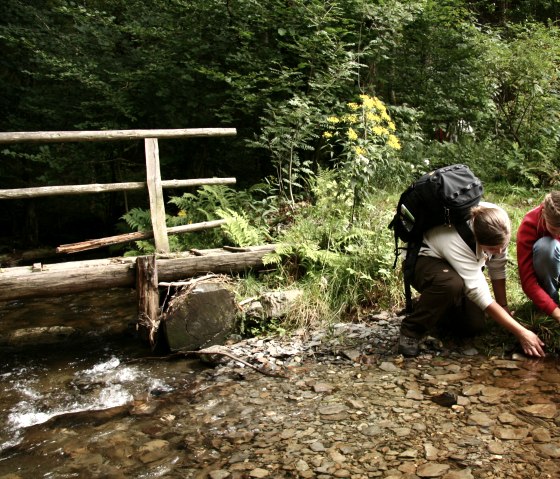 Wildnis-Trail dans le parc national de l'Eifel, © Guido Priske