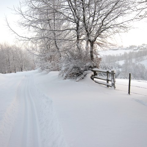 Loipe Eicherscheid, © Günter Scheidt