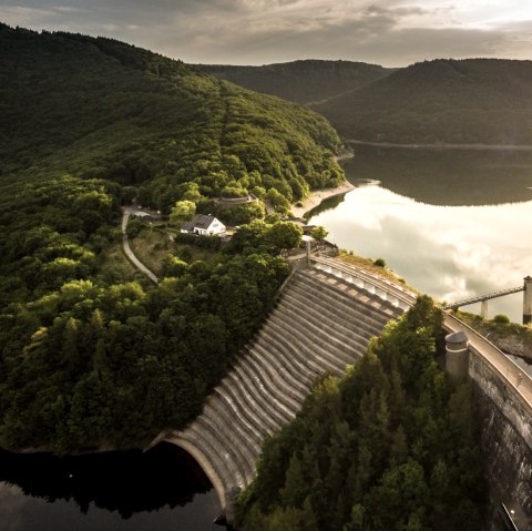 Blick auf Urfttalsperre im Nationalpark Eifel, © Eifel Tourismus GmbH, D. Ketz