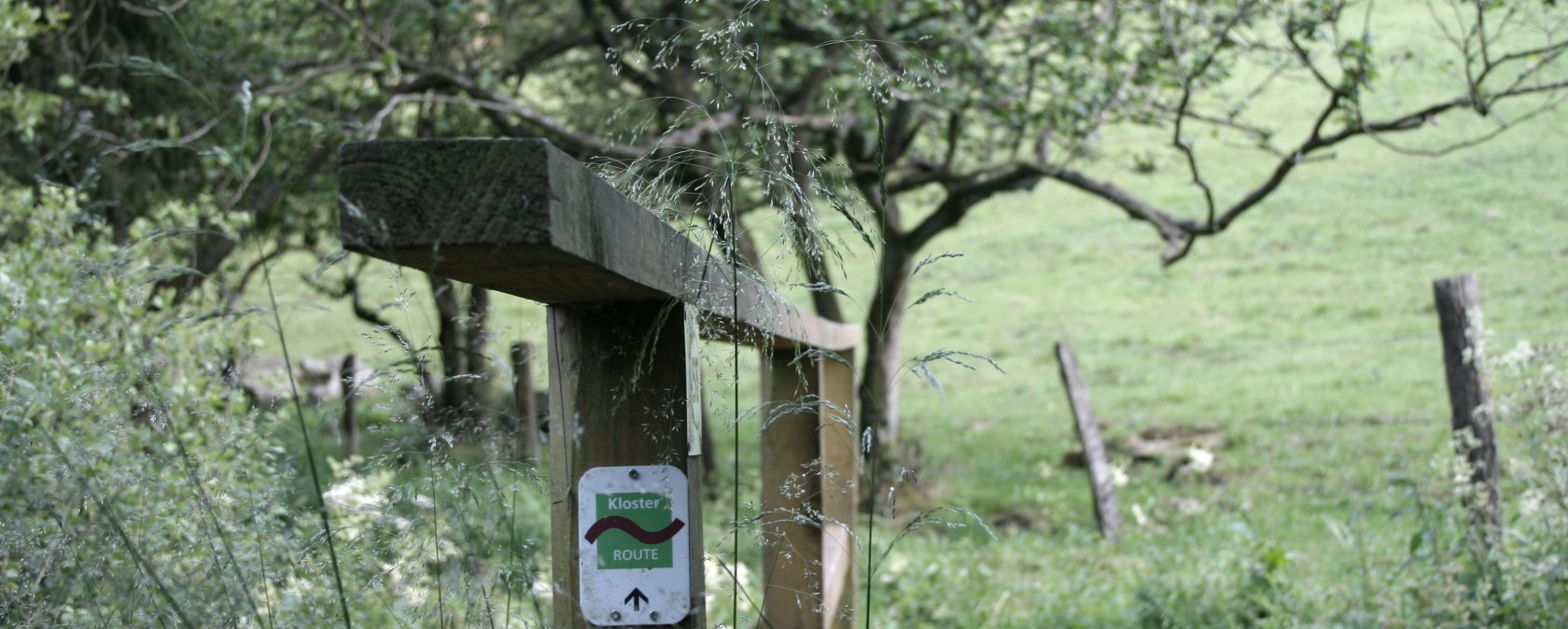 Klosterroute - Partnerweg des Eifelsteigs, © Heike Becker