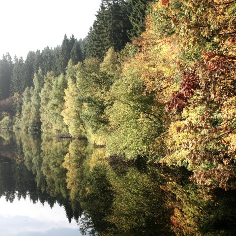 Perlbachtalsperre bei Monschau, © Heike Becker