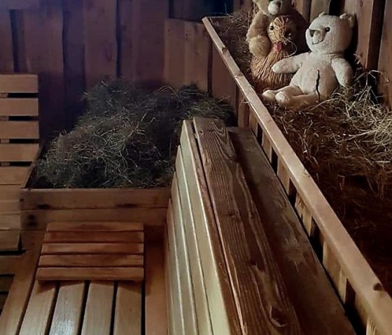 Cabane de sudation de l'Eifel