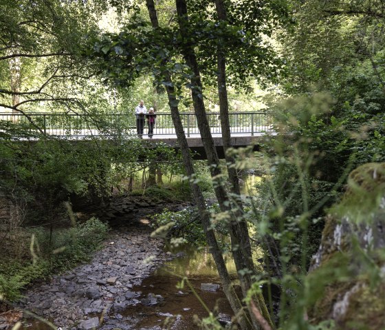 Brücke im Wald, © eifel-tourismus-gmbh_tobias-vollmer