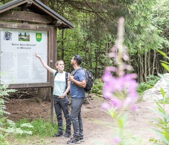 Infotafel an Kaiser Karls Bettstatt, © Eifel-Tourismus GmbH, AR, shapefruit AG - finanziert durch REACT-EU