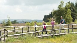 Hohes Venn bei Botrange, © vennbahn.eu