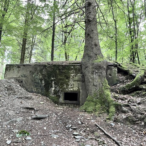 Bunker, © Monschauer Land Touristik e.V.