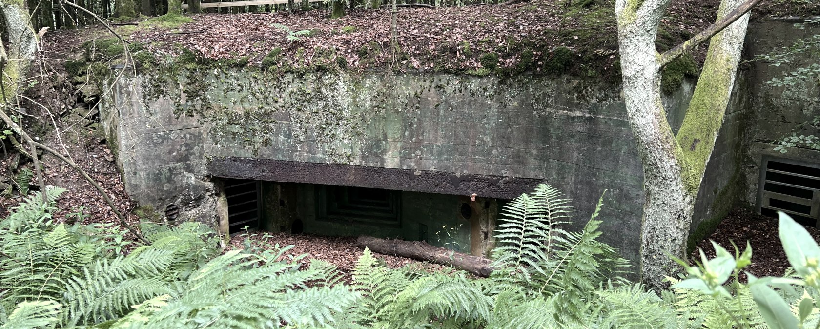 Bunker, © Rureifel-Tourismus, Michelle Wiesen