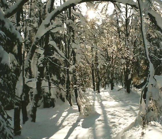 Hiver Pont supérieur, © Wolfgang Weber