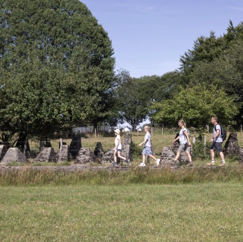 Wanderung auf der Nr. 21, © Eifel Tourismus GmbH, T. Vollmer