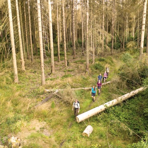 Wanderung mit einem Ranger, © D. Ketz