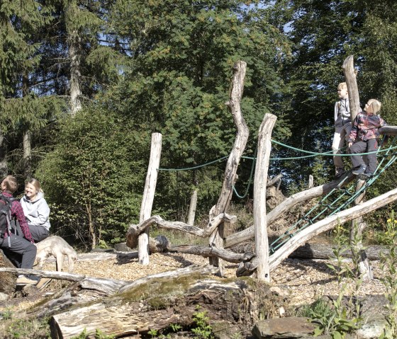 Walderlebnisparcours Kölschkier, Spinnennetz, © Eifel Tourismus GmbH, Tobias Vollmer - finanziert duch REACT-EU