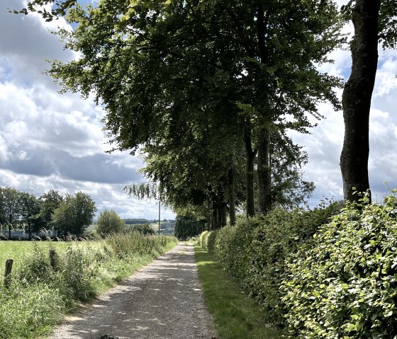 Langs de tour, © Monschauer Land Touristik e.V.