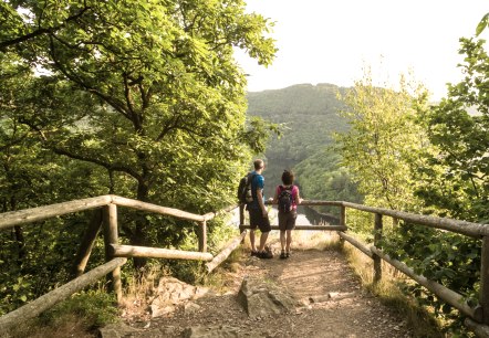 Blick auf die Urfttalsperre, © Eifel Tourismus GmbH, D. Ketz