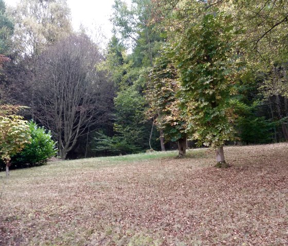 "Belle vue sur le sentier de l'Eifel" Jardin