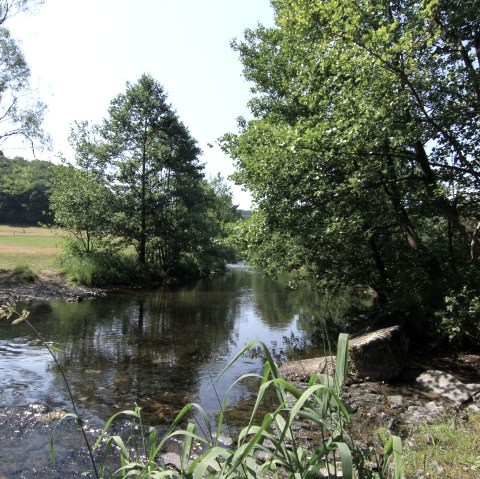 Ruraue bei Dedenborn, © Gemeinde Simmerath, Jessica Jehnen