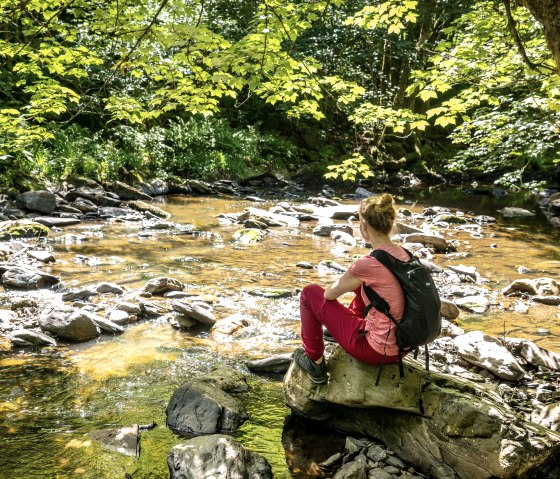 Die Rur bei Dreistegen, © Eifel-Tourismus GmbH, Dominik Ketz