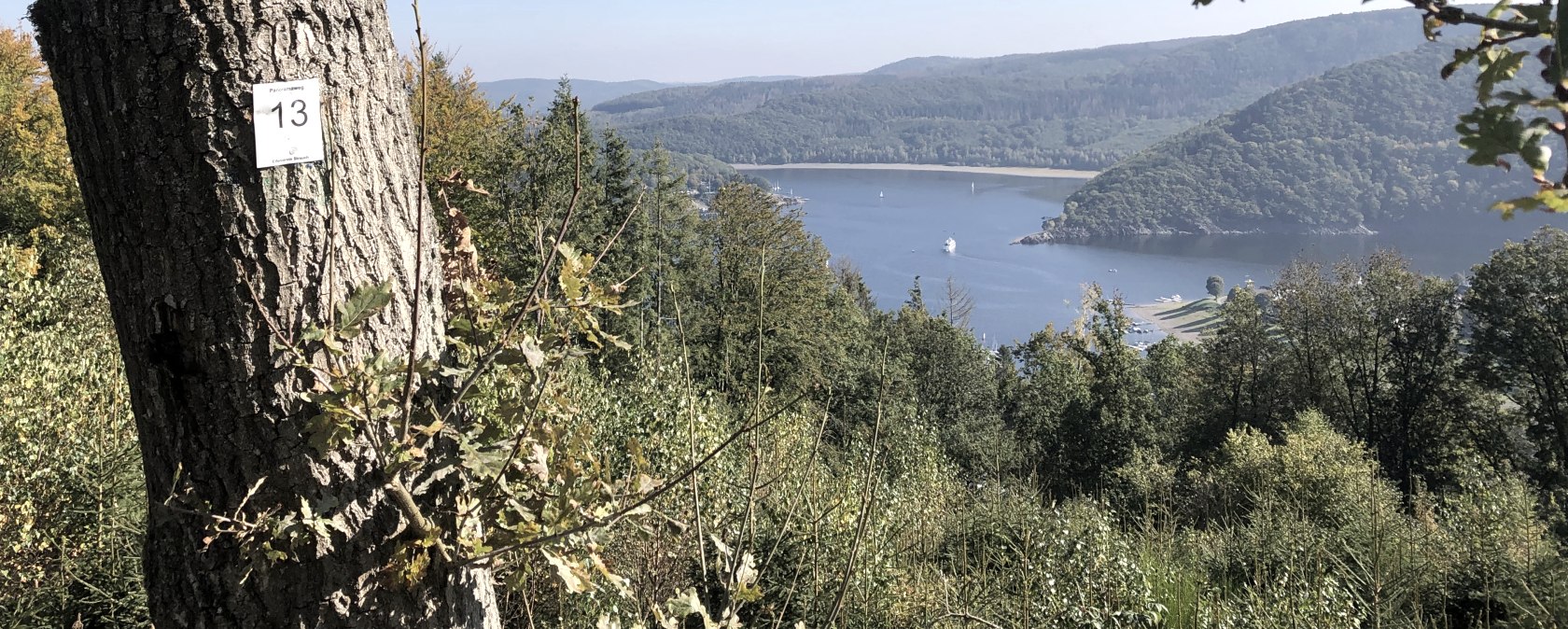 Aussicht auf den Rursee, © Rursee-Touristik GmbH, Conni Schink