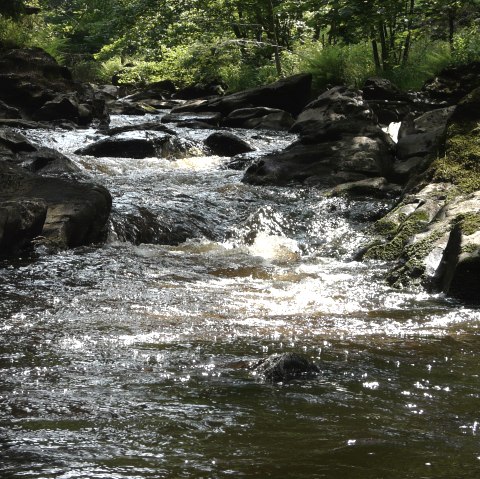 Rur im Monschauer Land, © Monschau-Touristik