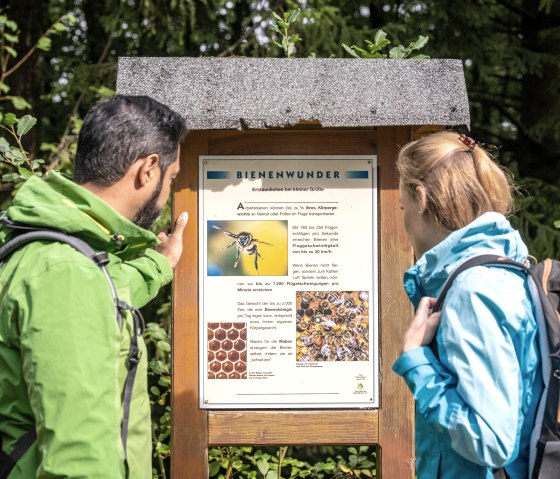 Informationstafel, © Eifel-Tourismus GmbH, Dominik Ketz