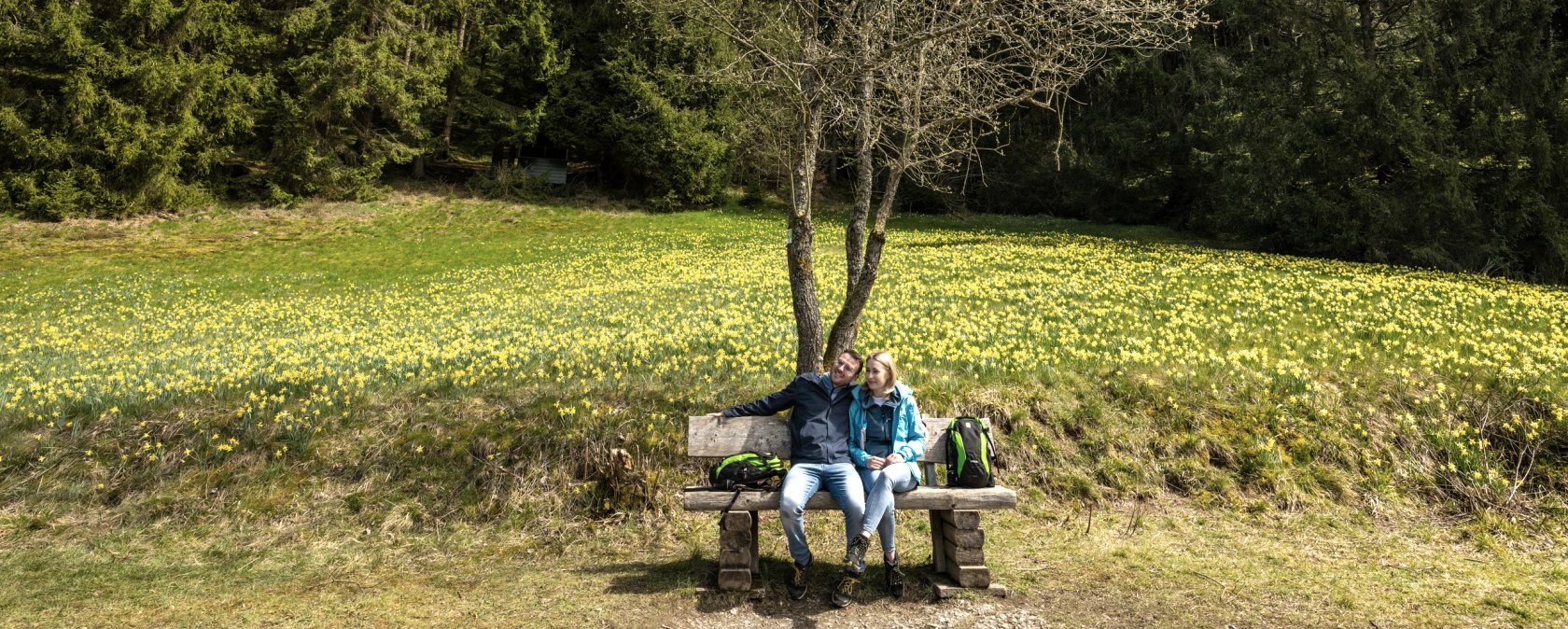 Narzissenroute mit blühenden Wiesen, © Städteregion Aachen, Dominik Ketz