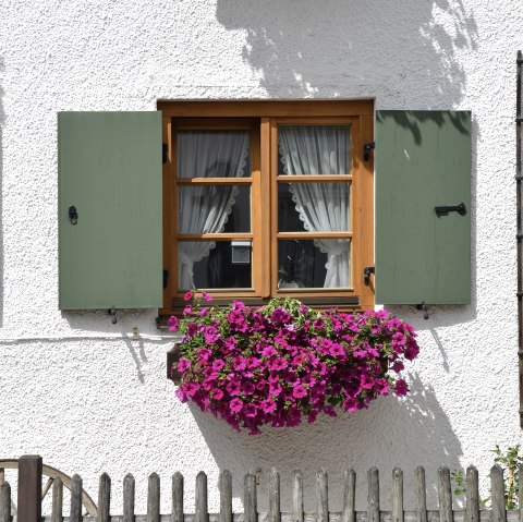 Fenster mit Blumen