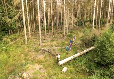 Wanderung mit einem Ranger, © D. Ketz