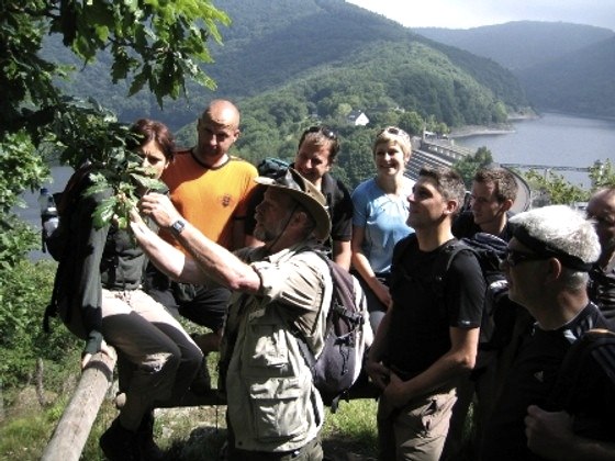 Waldführer mit Gruppe, © Nationalpark Eifel H.Erler