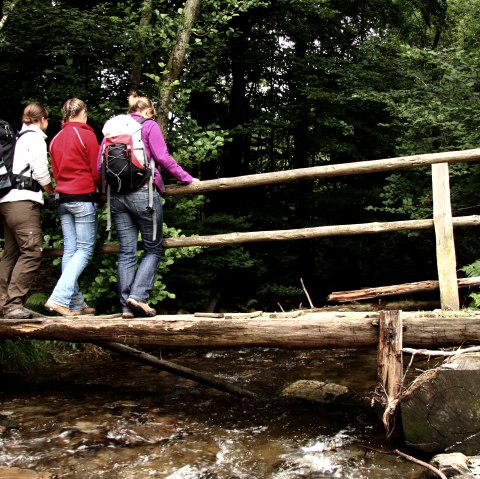 Wandern auf dem Wildnis-Trail, © Monschauer Land Touristik e. V. G.Priske