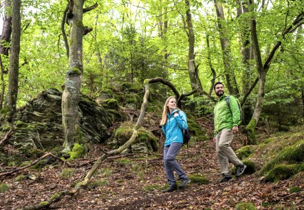 Wanderung in Rohren, © Eifel-Tourismus GmbH, Dominik Ketz