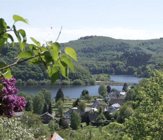 Gartenblick auf Rursee