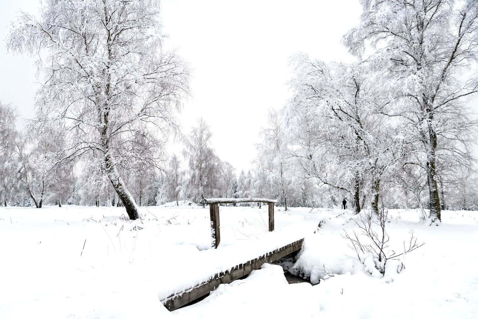 Struffelt im Winter, © Eifel-Tourismus GmbH, Dominik Ketz