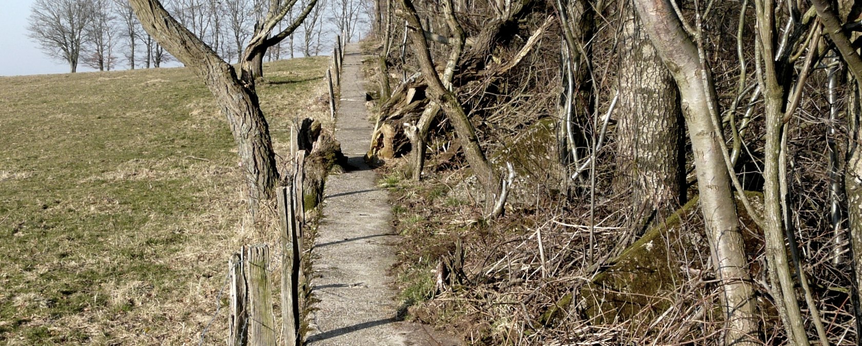 Waldpfad, © Monschau-Touristik