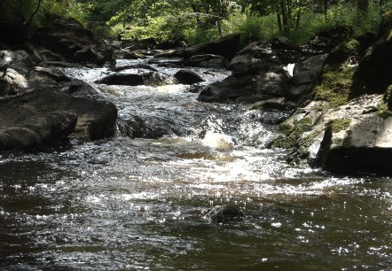 Rur bei Monschau, © Monschau-Touristik