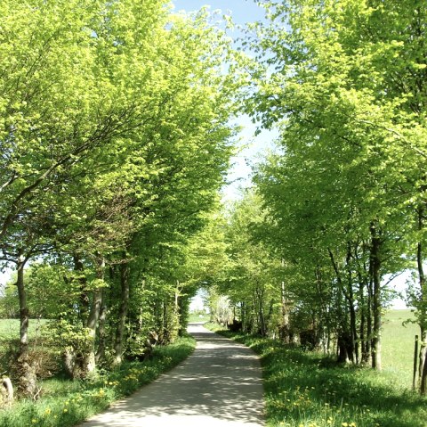 Flurheckenweg Eicherscheid, © Günter Scheidt