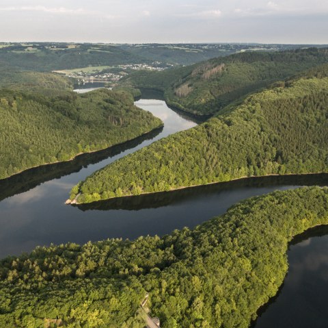 Die Wandertour Wasserlandroute führt immer am Wasser entlang, © Eifel Tourismus GmbH/D. Ketz