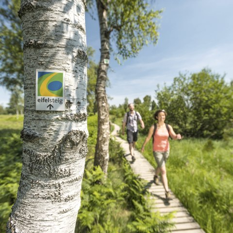 Wanderer auf dem Eifelsteig, © Eifel Tourismus GmbH / D. Ketz