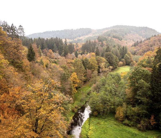 Blick ins Liesertal, © Eifel Tourismus GmbH, D. Ketz