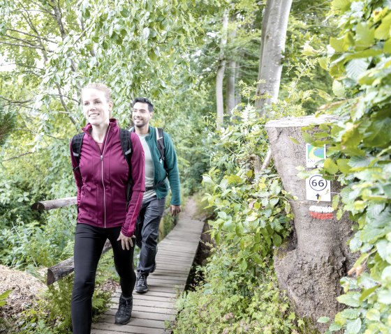 Unterwegs in Mützenich - Wanderweg Nr. 66, © Eifel-Tourismus GmbH, A. Röser shapefruit AG