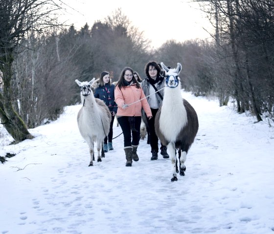 Winterwanderung, © Loni Liebermann