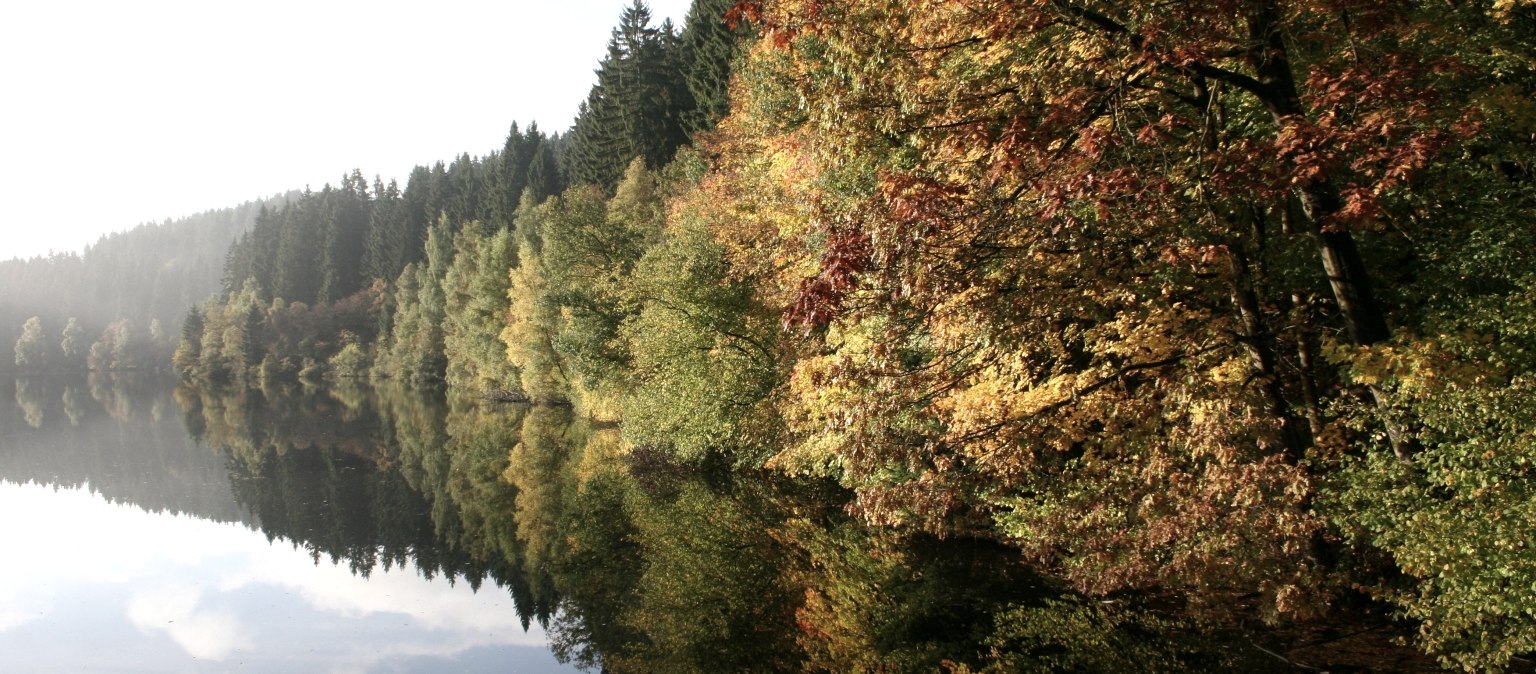 Ganztägige Busbegleitung durch das Dreiländereck oder die Eifel, © Monschau-Touristik