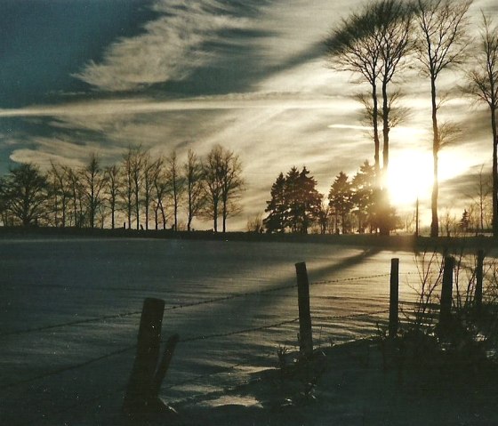 Hiver Branche courbée, © Wolfgang Weber