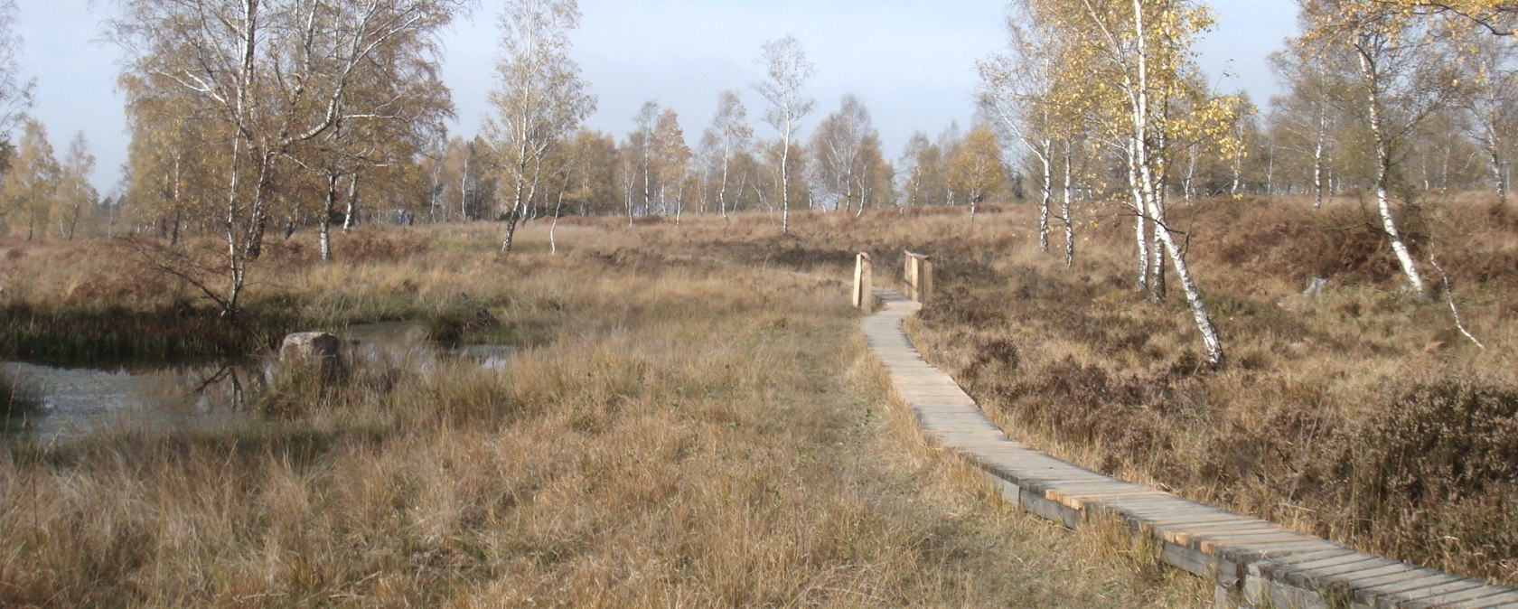 Holzstege auf der Struffeltroute