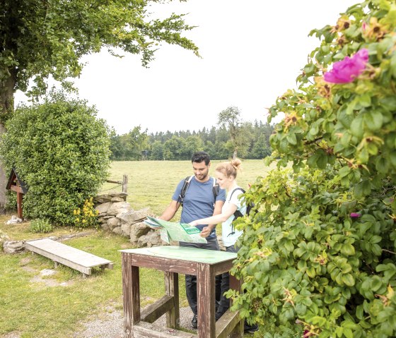 Eifel-Blick Steling, © Eifel-Tourismus GmbH, Dominik Ketz