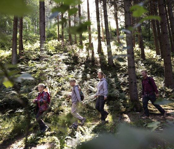 Famille sur le chemin de la forêt, © eifel-tourismus-gmbh_tobias-vollmer