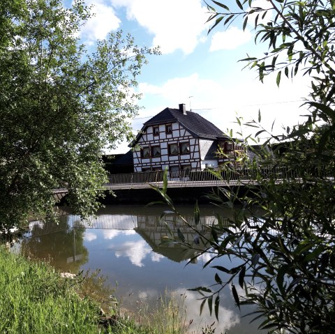 Schwanenweiher Höfen, © Monschau-Touristik GmbH, Barbara Frohnhoff