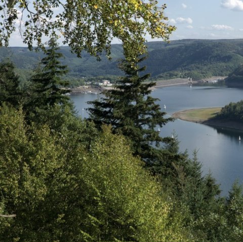 Rursee-Panorama, © Eifel Tourismus GmbH, P. Jacob