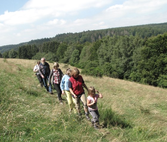 Der Schöpfungspfad im Nationalpark Eifel, © Nationalpark Eifel S. Follmer