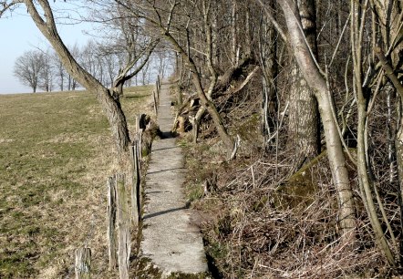 Waldpfad, © Monschau-Touristik