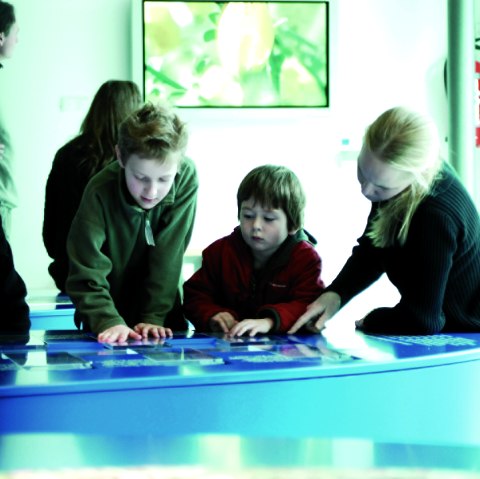 Ausstellung im Nationalpark-Tor Rurberg, © Nationalpark Eifel Lars Voigtländer