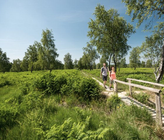 Randonnée dans la Struffelt Heide sur le Eifelsteig, © Eifel Tourismus/D. Ketz